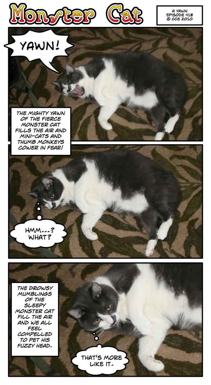After all, who could resist the fuzzy, drowsy head?