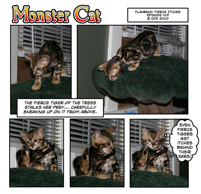 Fear her tiny, little, adorable fierceness!