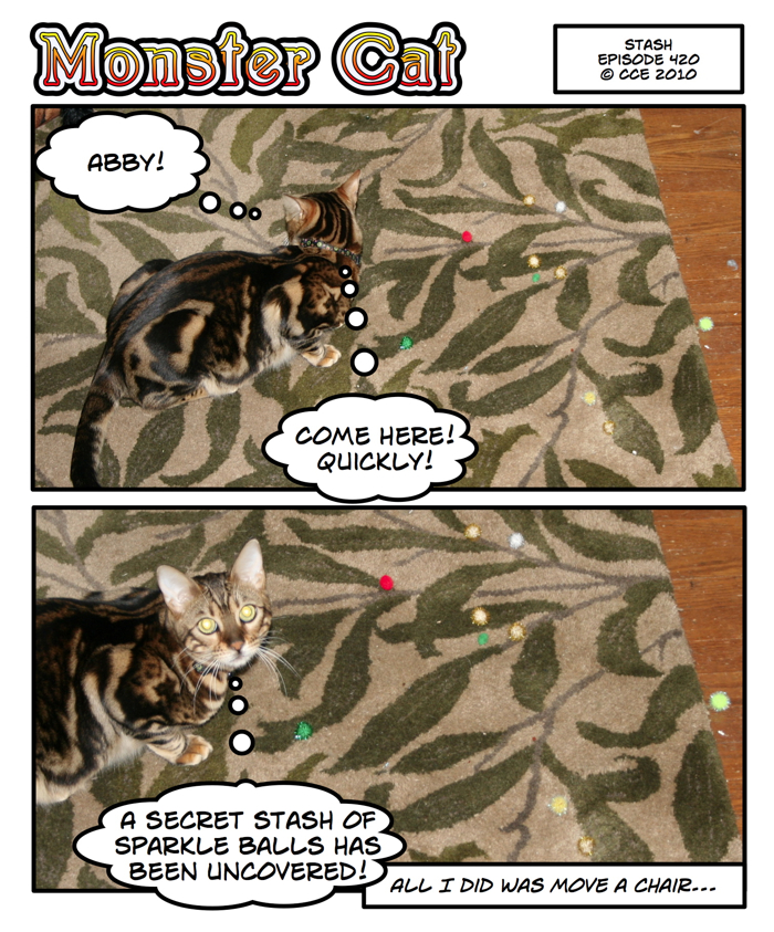I wonder if Abby was stashing them there on purpose and now I've foiled her clever plans...