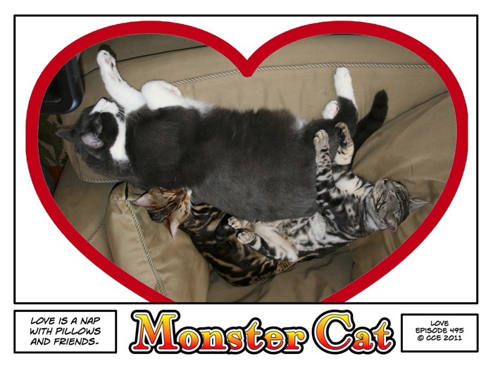Love is also tuna, gooshy food and purring in the ears of the thumb monkeys at 4 a.m.