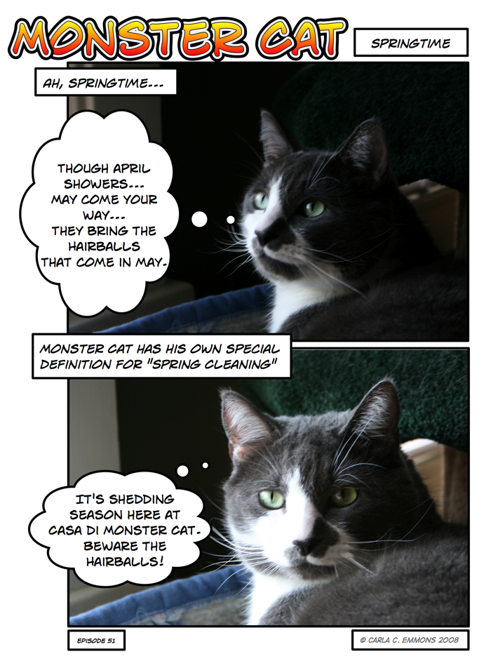 The management takes no responsibility for any hairball incidents.