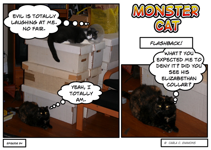 pooooor monster cat!