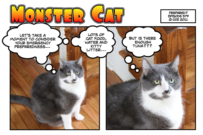 I wrote and posted this Saturday before Irene really hit us... I wonder how it went... I'm *sure* we had enough tuna!