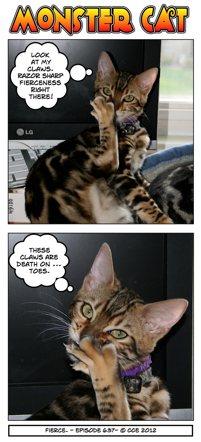 I think Tasha feels the need to show her fierceness because we think she's so adorable...