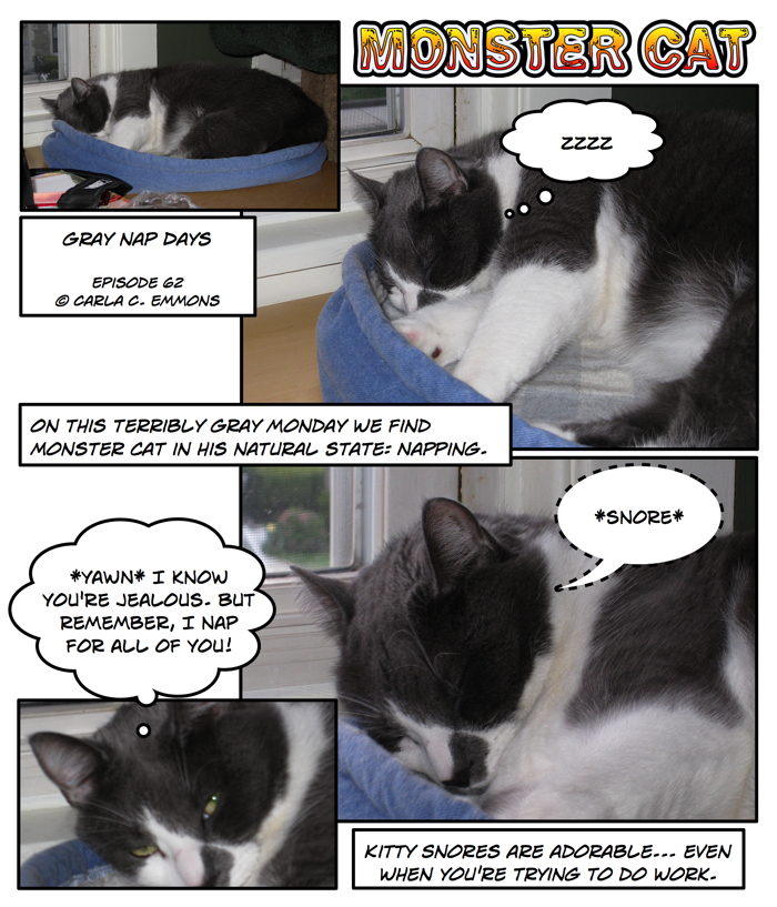 Monster Cat: He naps for us all!!!!