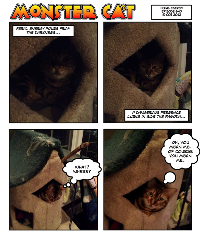 It's rather remarkable that any of the cats fit in the little pagoda cubby!