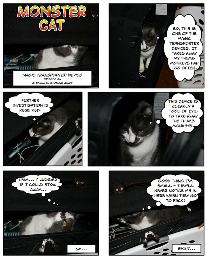 Who's going to notice a 17 pound cat in a big ol' suitcase? Right?