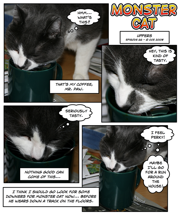 zoom! zoom! zoom! WIRED MONSTER CAT!!!