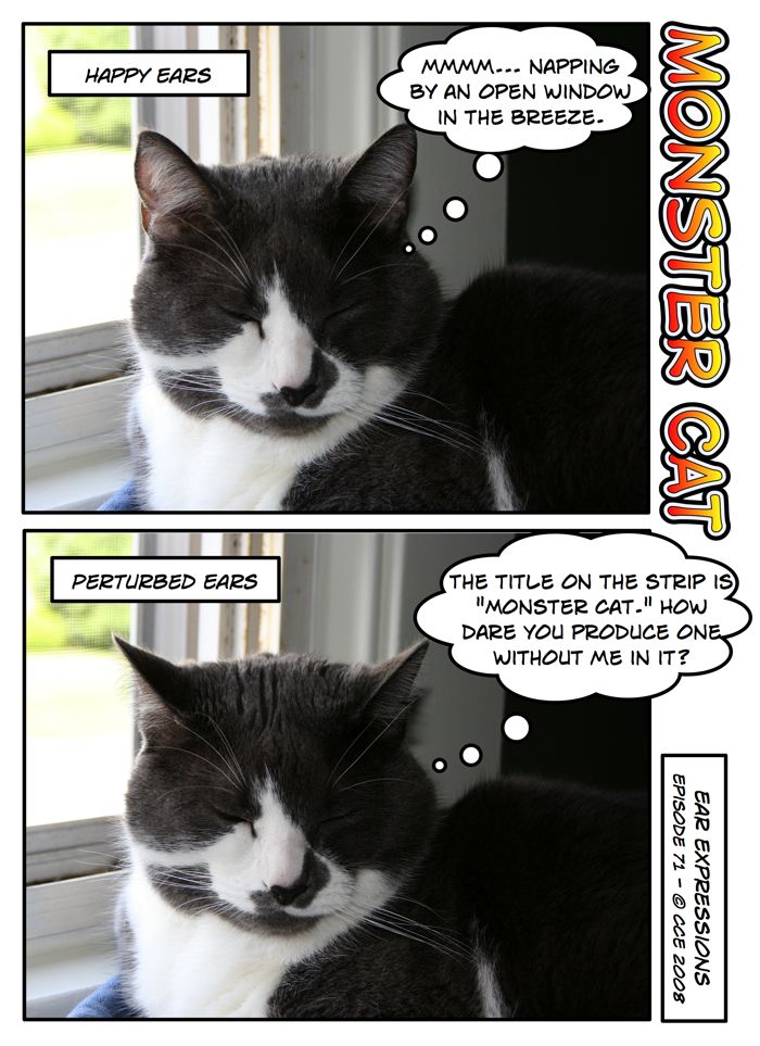 zzzz.... what?