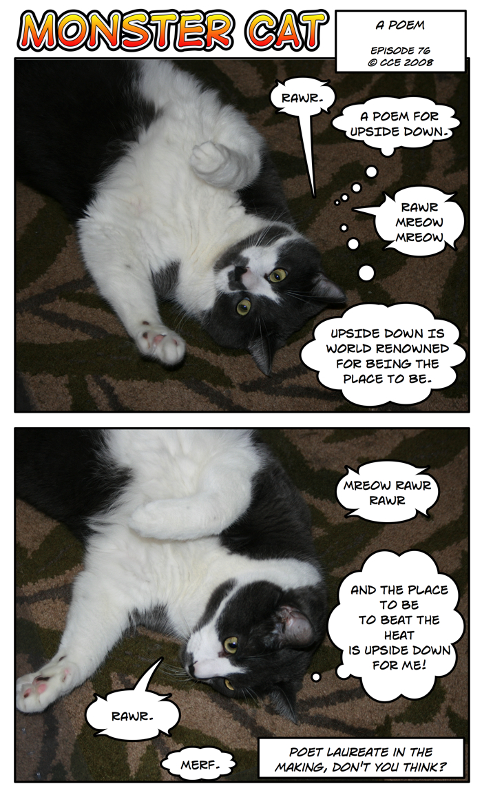 for his next trick, Monster Cat will serenade us!!!