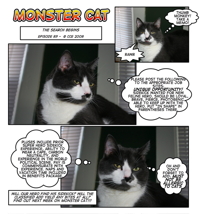 Monster.com seems the perfect place to post this job ad, right?