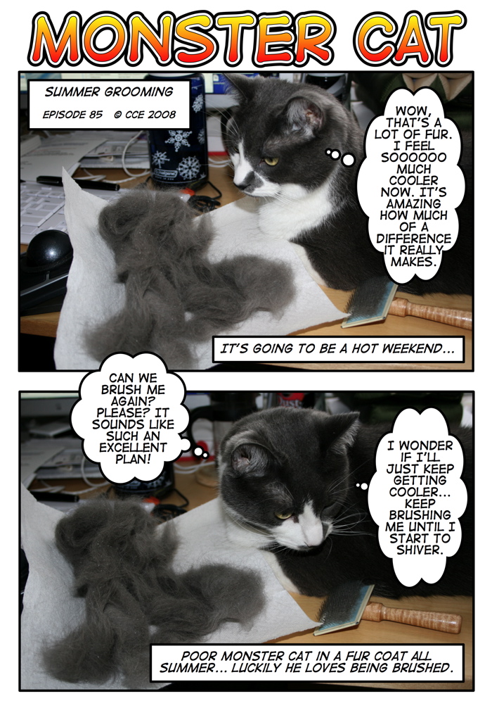 I am not tempted to spin and knit a new cat... really!