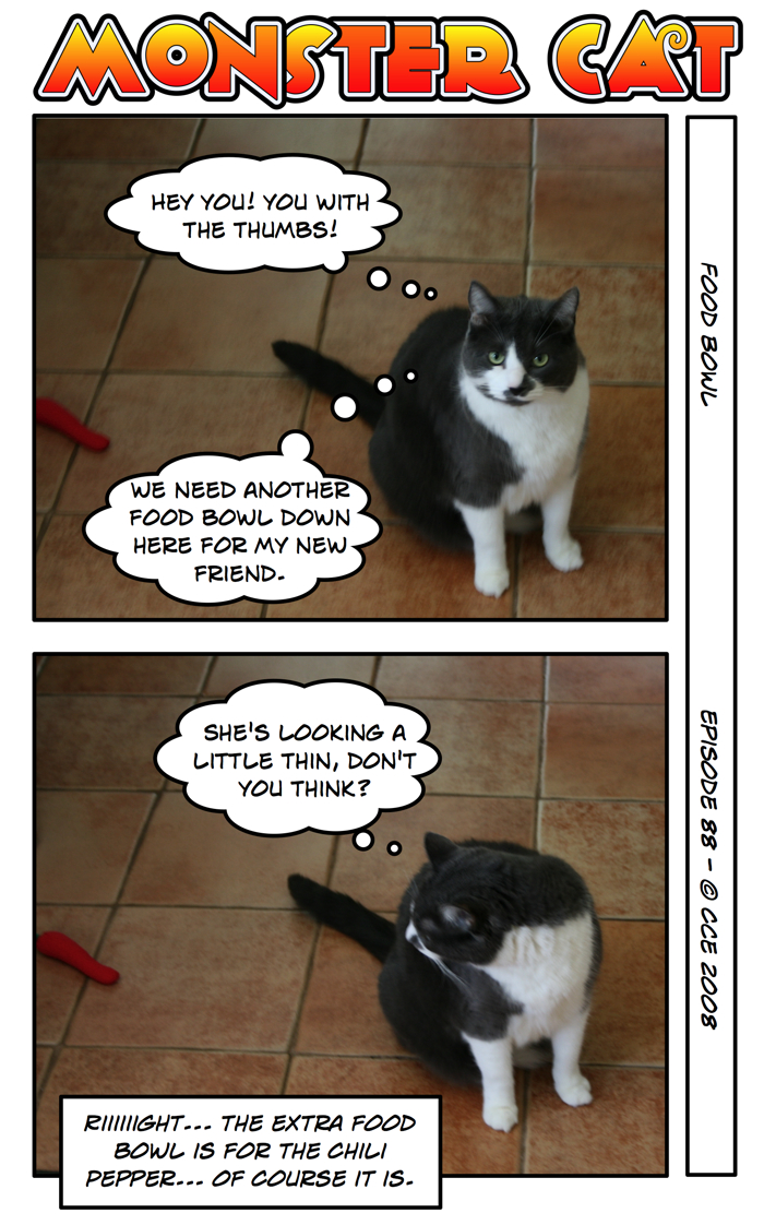 Food Bowls are Serious Business.